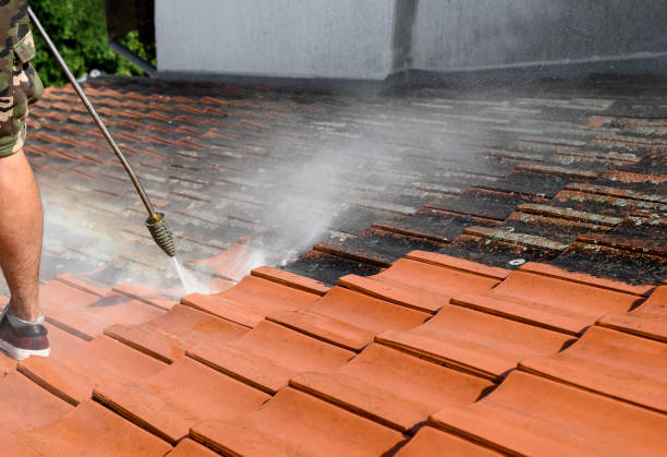 Best Residential Pressure Washing Services  in Golden Valley, AZ