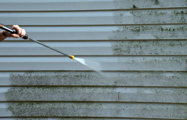 Best Pressure Washing Driveway  in Golden Valley, AZ